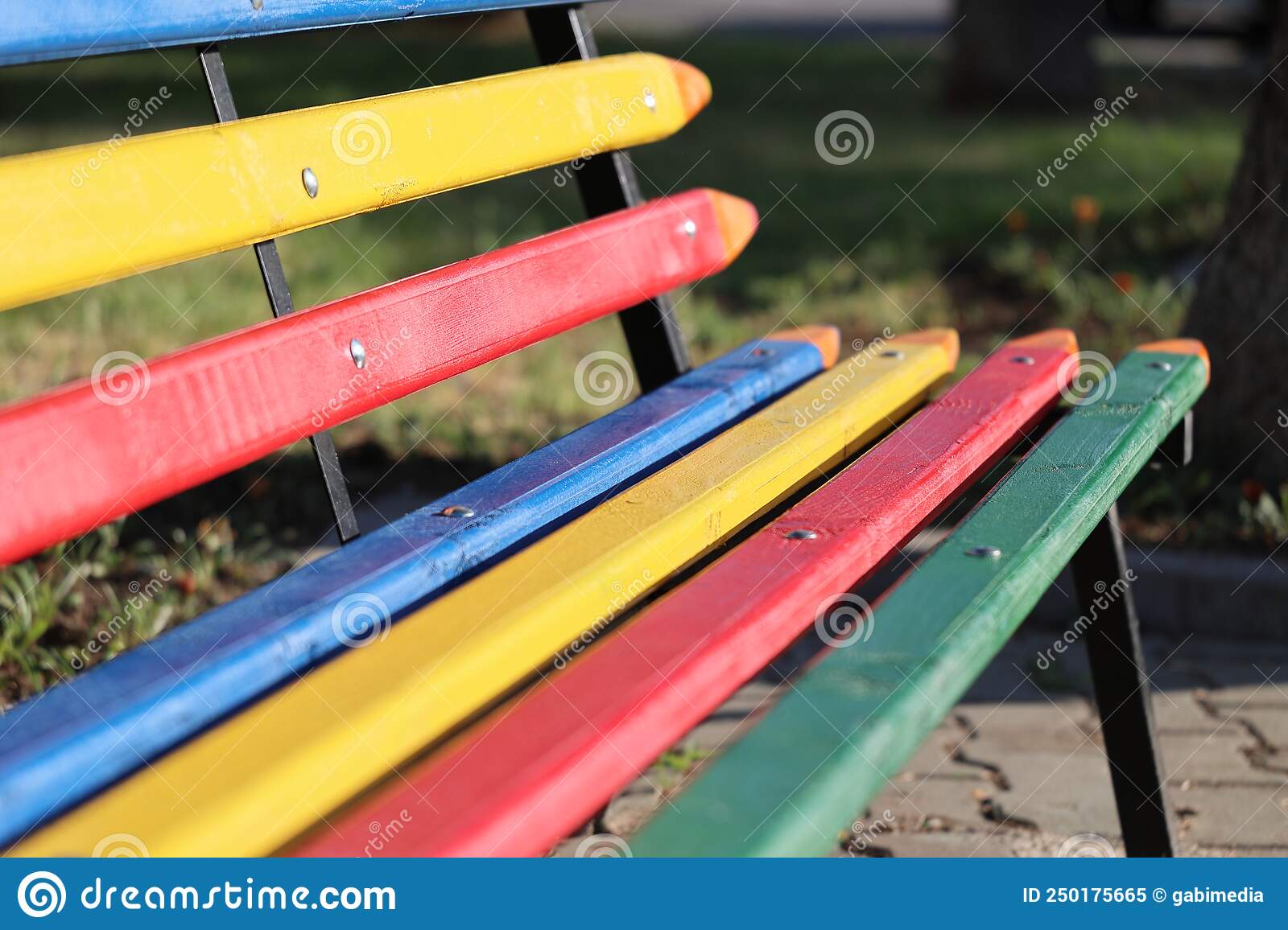 Empty colored bench in a summer park 