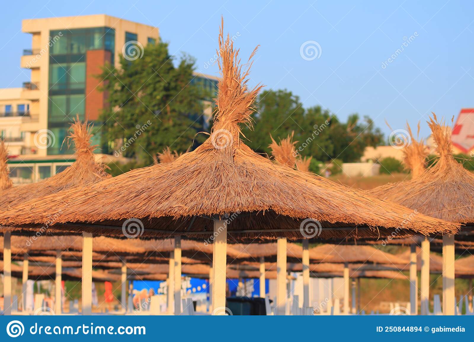 Thatched roof sunbed at sea
