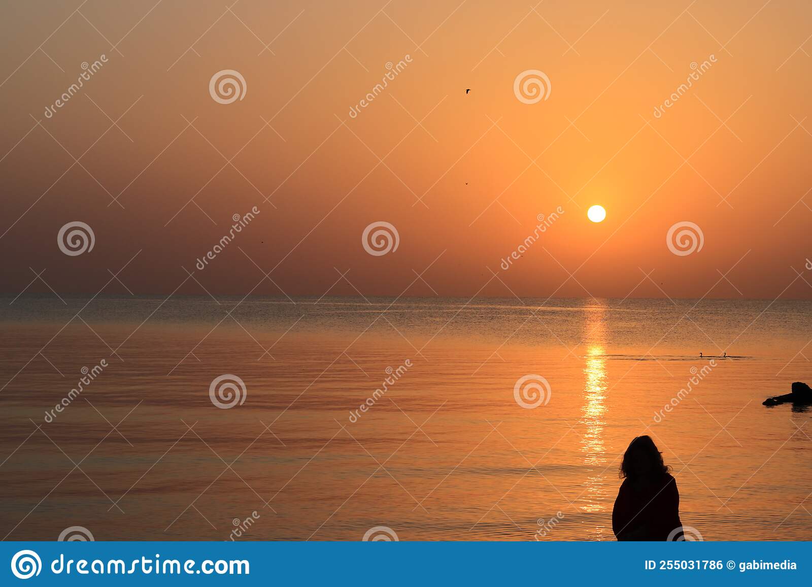 Sunrise on the beach in Mamaia