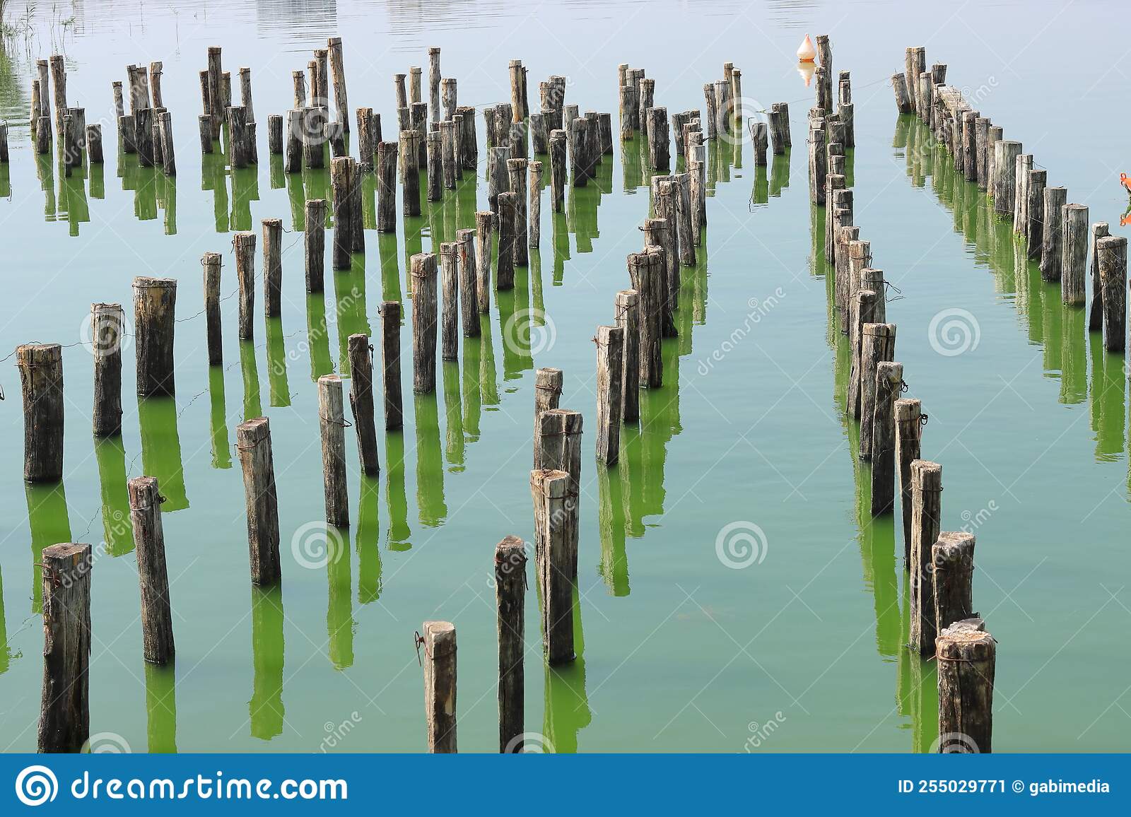Wooden piers at the edge of a lake