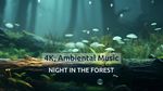 Night in the forest • Calm Music • Relaxation AINature - 4K Video