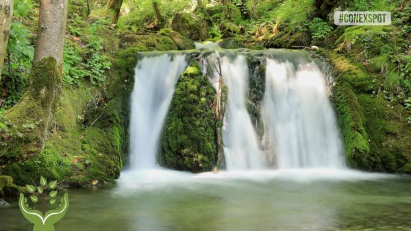 Relaxare la cascadă și puțină ploaie: muzică relaxantă pentru somn și meditație